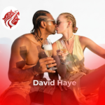David Haye